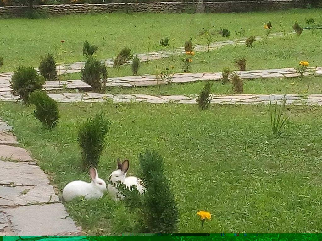 Holiday Park Ranchoto Hotell Kirkovo  Eksteriør bilde