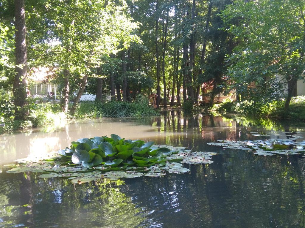 Holiday Park Ranchoto Hotell Kirkovo  Eksteriør bilde